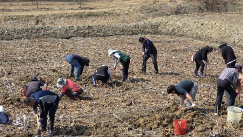 자연명상을 통해 현대인들이 ..